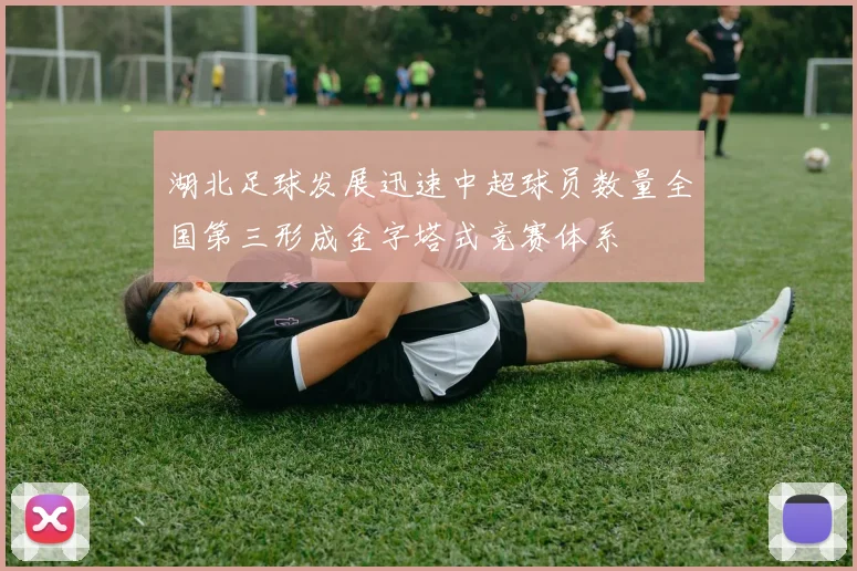 湖北足球发展迅速中超球员数量全国第三形成金字塔式竞赛体系