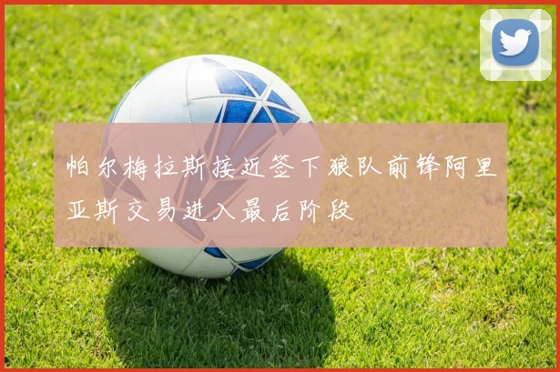 帕尔梅拉斯接近签下狼队前锋阿里亚斯交易进入最后阶段