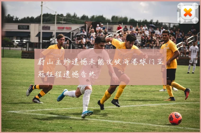 蔚山主帅遗憾未能攻破海港球门亚冠征程遗憾告终