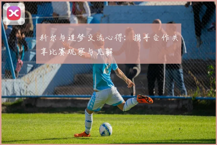 科尔与追梦交流心得：携手合作共享比赛观察与见解