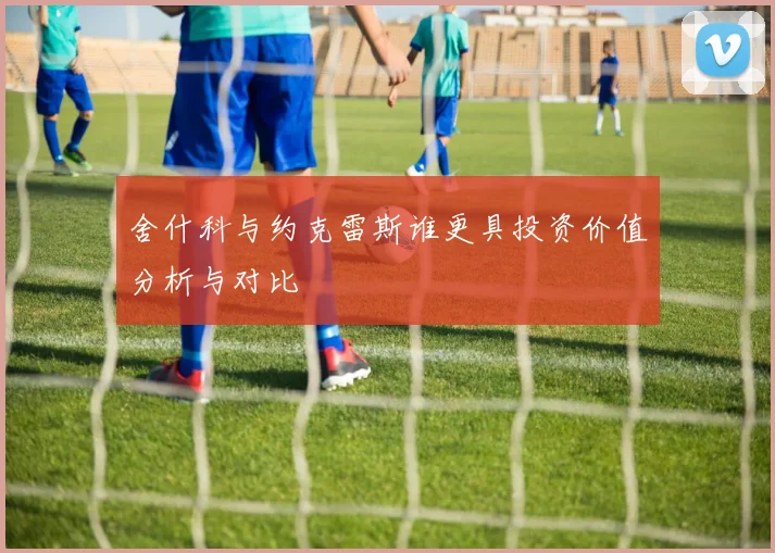 舍什科与约克雷斯谁更具投资价值分析与对比