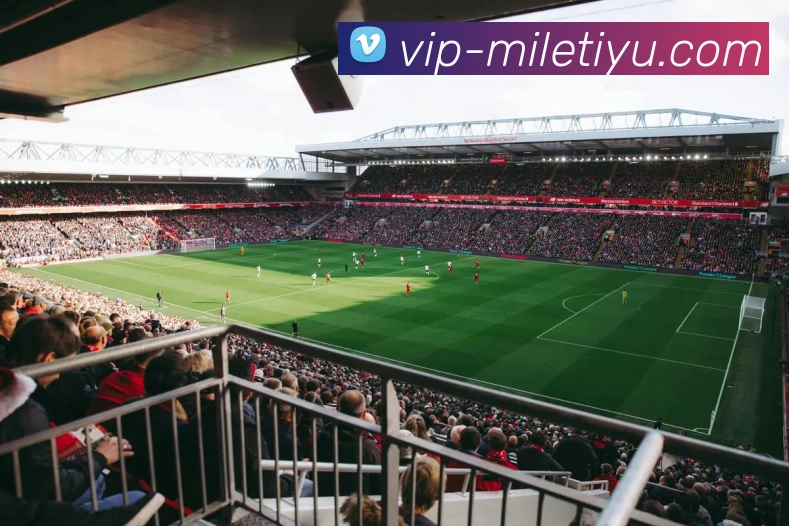 多媒体互动体验