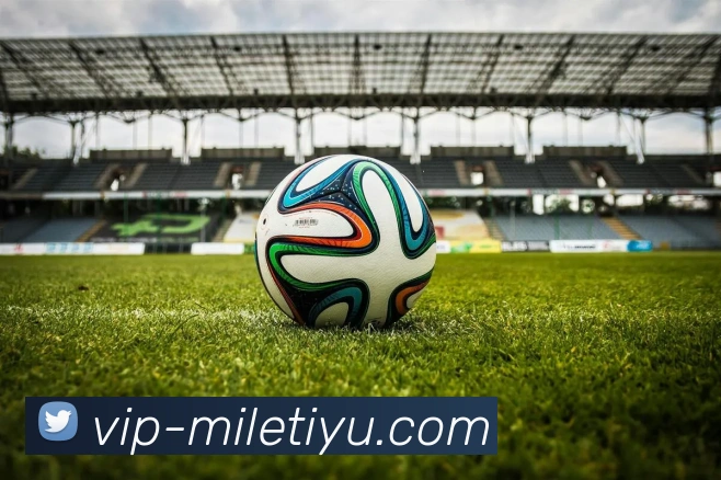 米乐体育APP 体育赛事宣传图